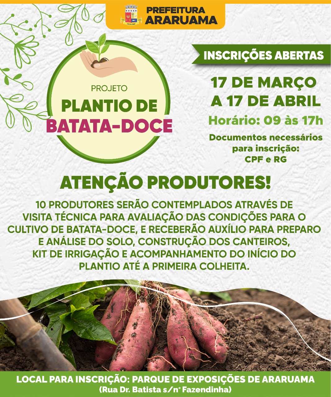 Prefeitura de Araruama vai selecionar agricultores para o projeto “Plantio de Batata-Doce”
