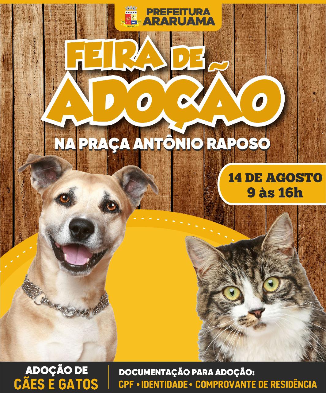 Prefeitura de Araruama vai realizar Feira de Adoção de cães e gatos na Praça Menino João Hélio