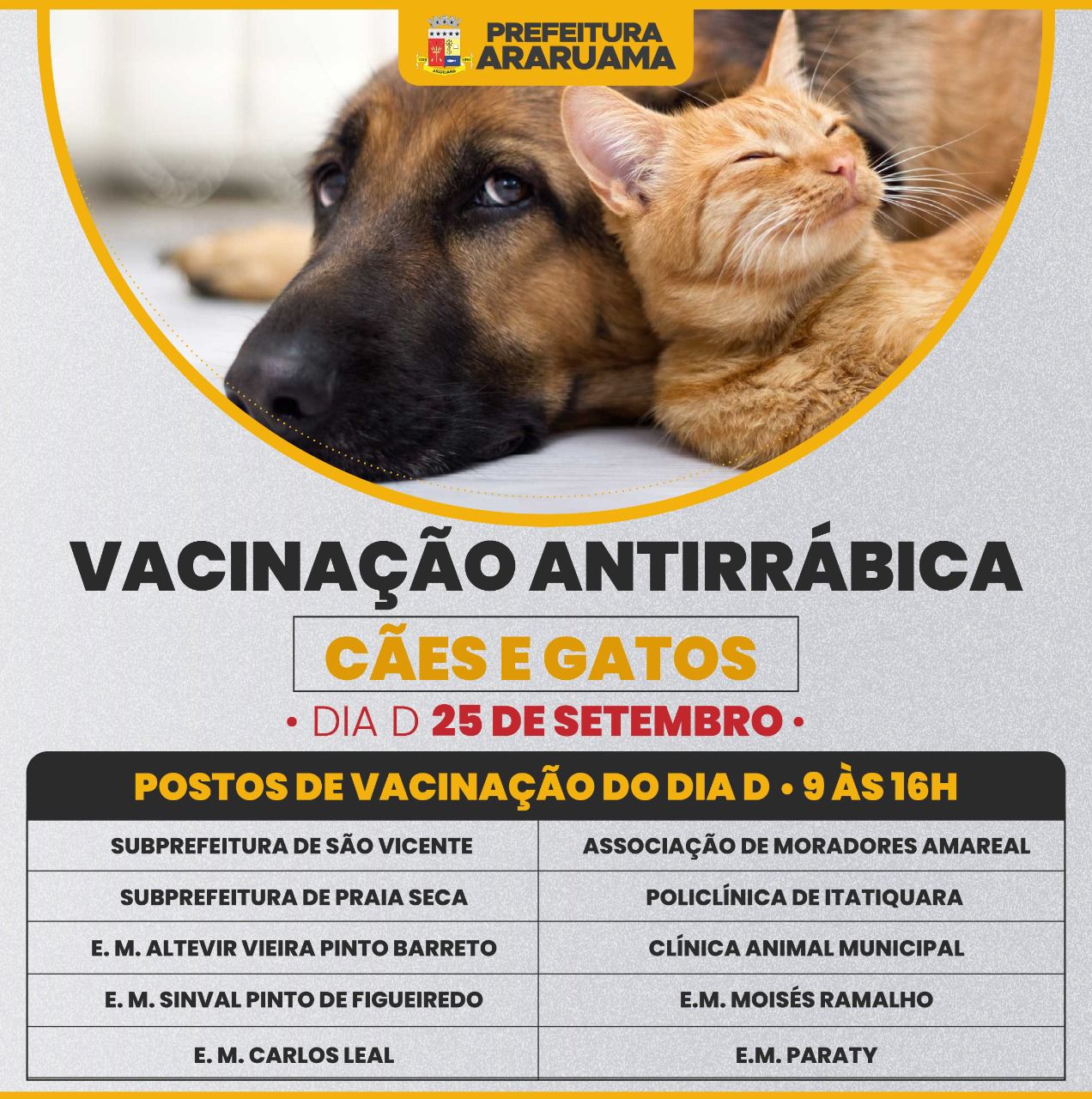 Prefeitura de Araruama vai realizar Dia D da vacinação antirrábica no município; além da campanha itinerante nos bairros