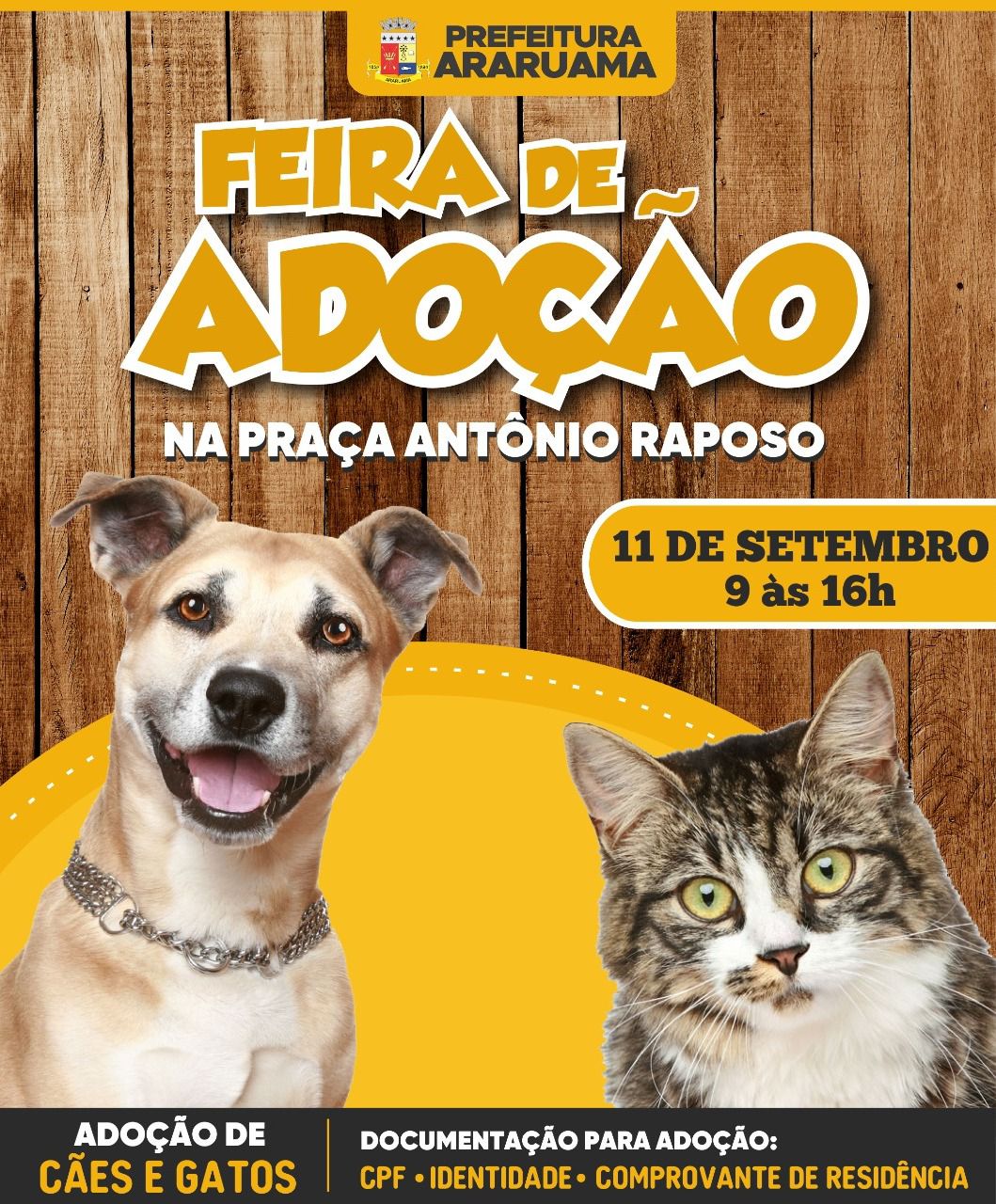 Prefeitura de Araruama vai realizar Feira de Adoção de cães e gatos na Praça Menino João Hélio