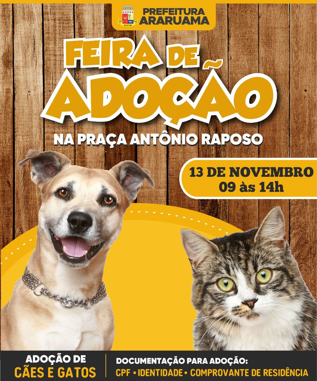 Prefeitura de Araruama vai realizar Feira de Adoção de cães e gatos na Praça Antônio Raposo