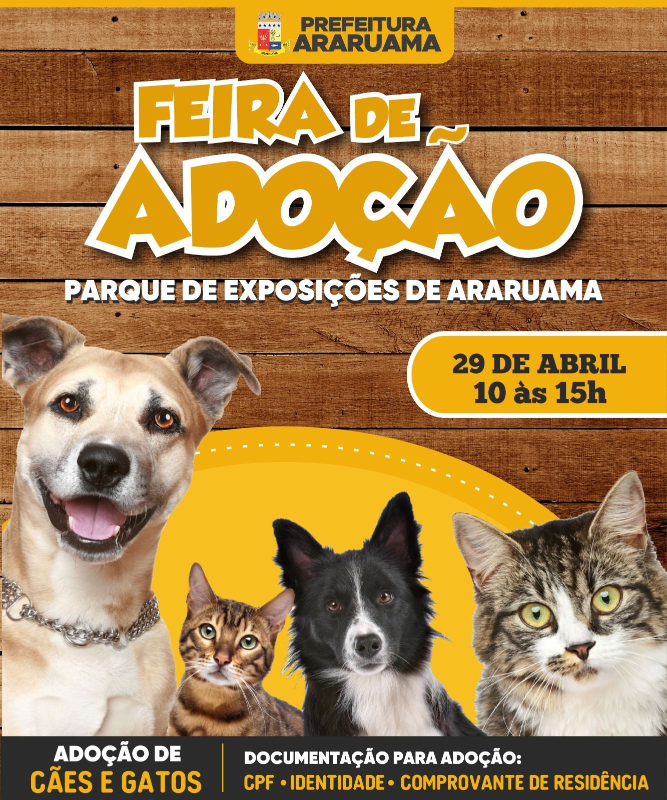 Prefeitura de Araruama vai realizar Feira de Adoção de cães e gatos no Parque de Exposições de Araruama