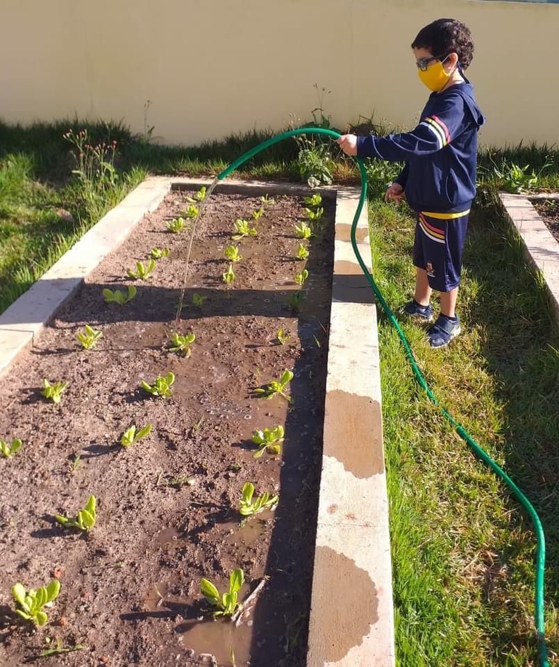 Projeto “Horta nas Escolas” reforça o conceito de sustentabilidade entre os alunos