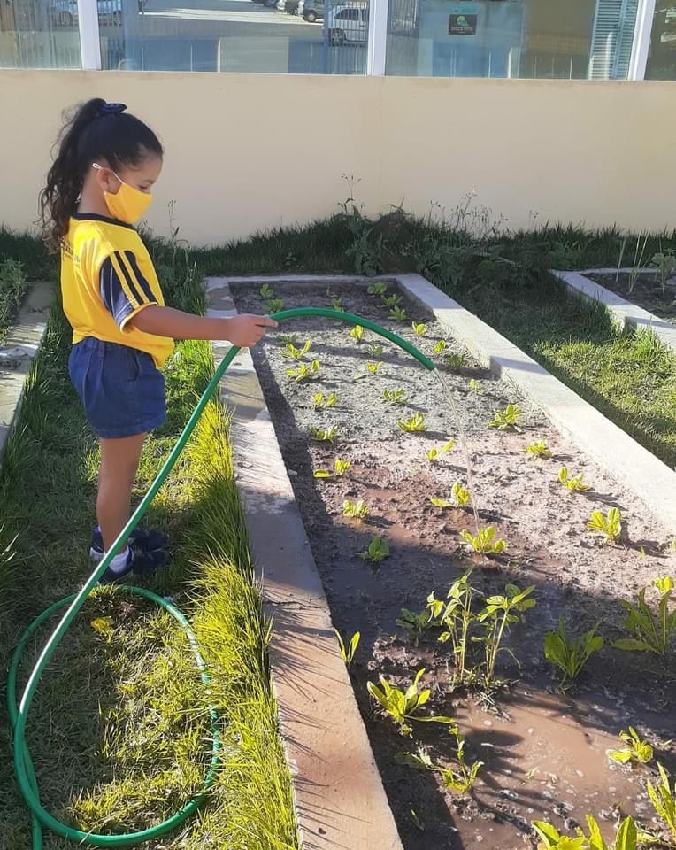 Projeto “Horta nas Escolas” reforça o conceito de sustentabilidade entre os alunos
