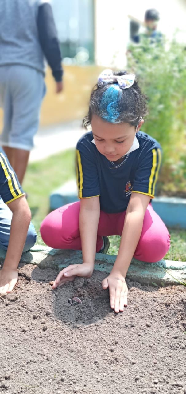 Alunos da Praça Escola Ecológica Prefeito Afrânio Valladares aliam teoria e prática com o projeto “Horta na Escola”