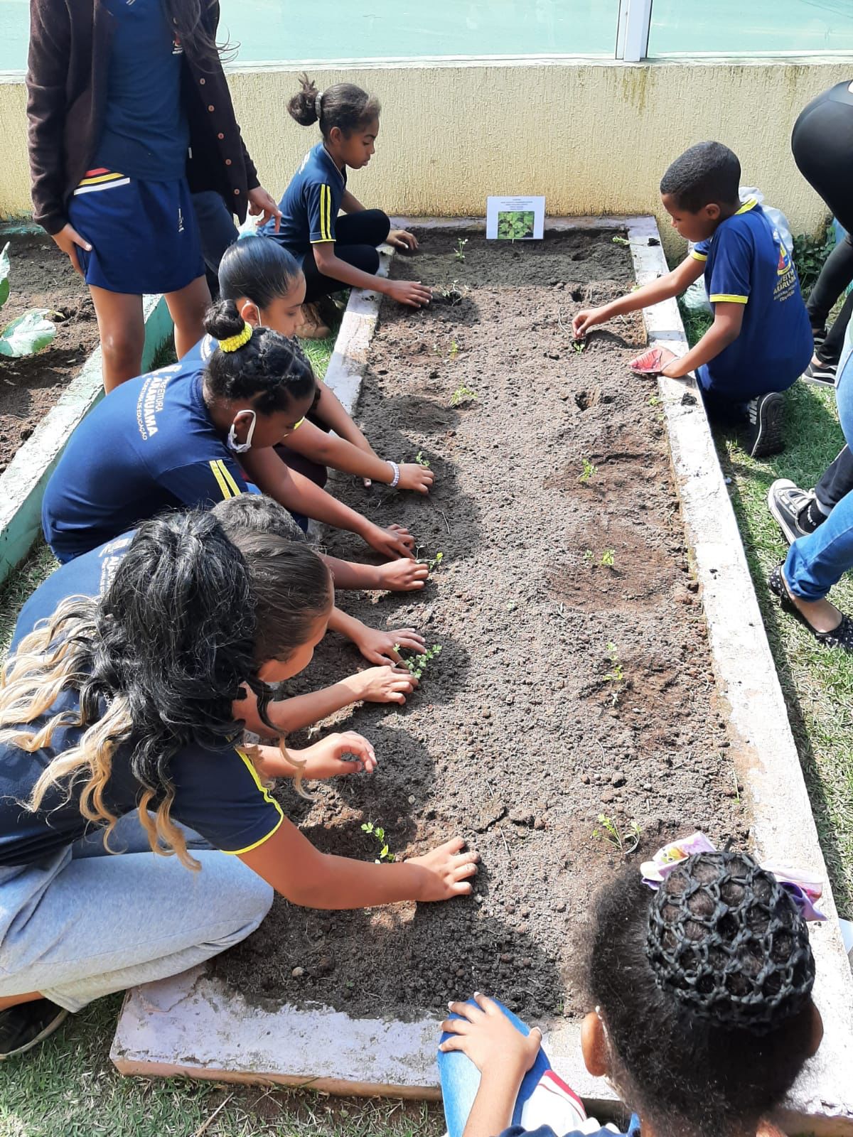 Alunos da Praça Escola Ecológica Prefeito Afrânio Valladares aliam teoria e prática com o projeto “Horta na Escola”